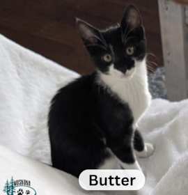 Photo of Butter!