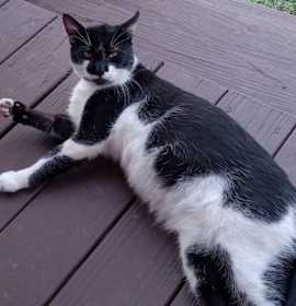 Photo of Bruce Batman