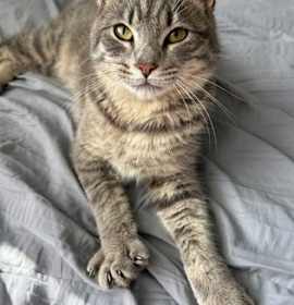 Photo of Build A Bear