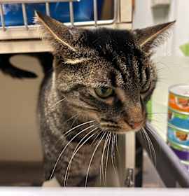 Photo of Ben Buttons