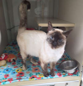 Photo of Quinn F-21602