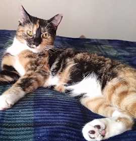 Photo of Leahla - CCC