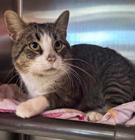 Photo of Rubeus Hagrid