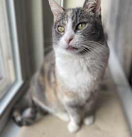 Photo of Ursula Melvin