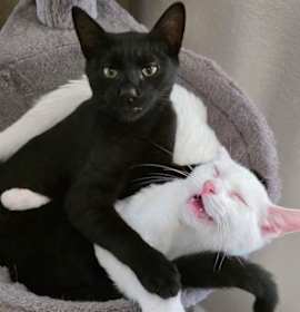 Photo of Mooshi & Jacob- Coolest Duo