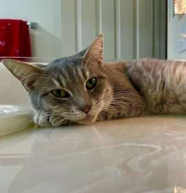 Photo of Carole King