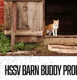 Photo of Dupree FC 1