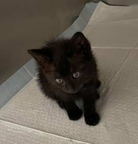 Photo of 062407 - Bali