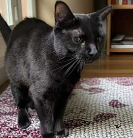 Photo of River (TAS #7)