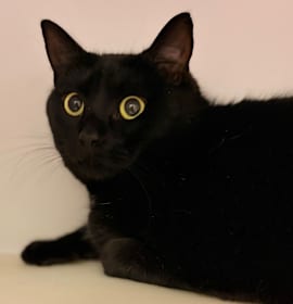 Photo of Agness Laika