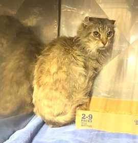 Photo of Fuzz Aldrin