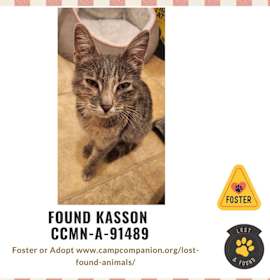 Photo of FOUND KASSON