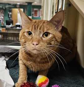 Photo of KittyHawk~25/26-0248