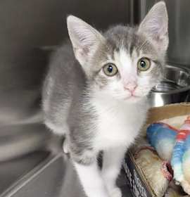 Photo of F25 LG 1438 Tara