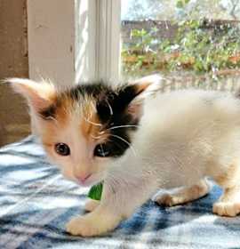 Photo of Rachel 120125