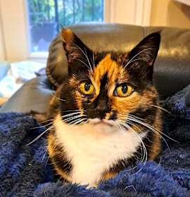 Photo of Valka (& Family)