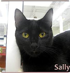 Photo of Sally