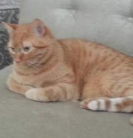 Photo of Hobbes & Norris