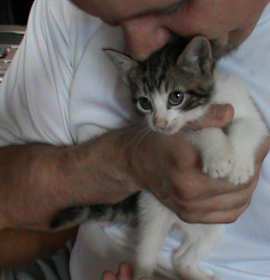 Photo of Sophia Lorencat