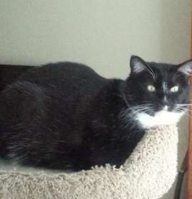 Photo of Princess "Mimi"