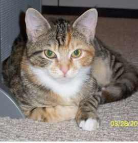 Photo of Sweet "Lolo"