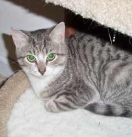 Photo of Timid "Lily"