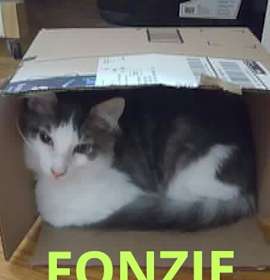 Photo of Fonzie