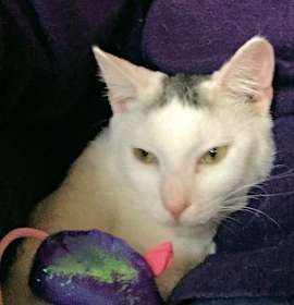 Photo of Sparkle Plenty