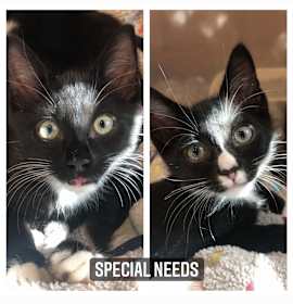 Photo of Lex and Lennon