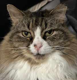 Photo of Courtesy Post: Etta