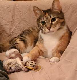 Photo of Phoebe - Love at first sight!