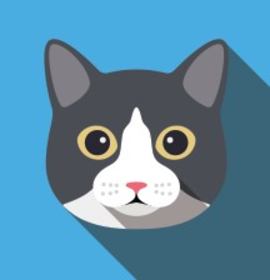 Photo of Sophia Loren