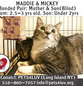 Photo of Mickey Laurelton