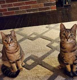 Photo of Fulton & Parker