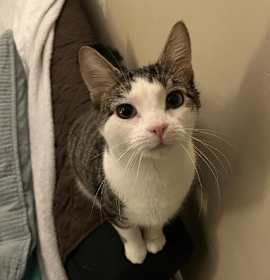 Photo of Lovebug 0405