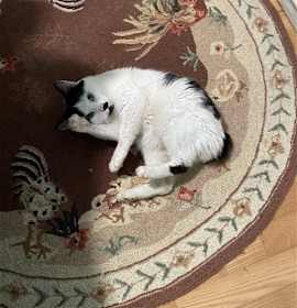 Photo of Charlie Chaplin