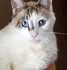 Photo of Handsome