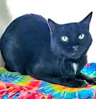 Photo of Buster AKA Stringer
