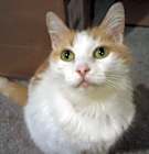 Photo of Polly
