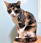 Photo of Blanche