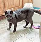 Photo of Chiquita