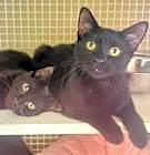 Photo of Fidget & Digit