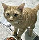 Photo of Sam