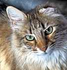 Photo of Queenie Winter
