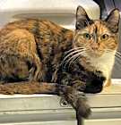 Photo of Mimi (friendly)