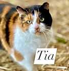 Photo of Tia