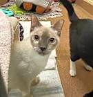 Photo of Alfreda