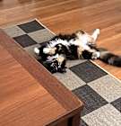 Photo of Mazzy