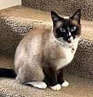 Photo of Freya