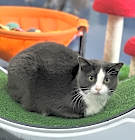 Photo of Josie